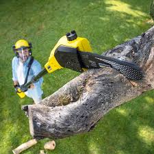 Artificial Turf Installation in Fort Clark Springs, TX