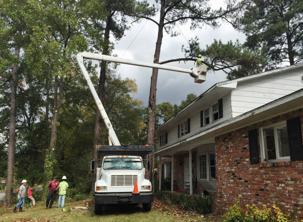 Best Aeration Services  in Fort Clark Springs, TX